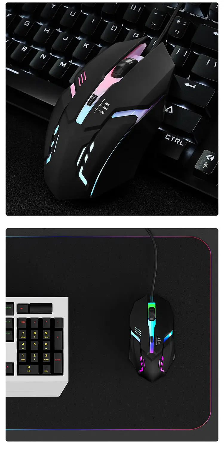 2025 Ergonomic Mouse